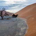 NAM HAR Dune45 2016NOV21 037 : 2016 - African Adventures, Hardap, Namibia, Southern, Africa, Dune 45, 2016, November